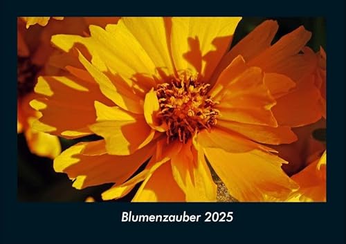 Blumenzauber 2025 Fotokalender DIN A4: Monatskalender mit Bild-Motiven aus Fauna und Flora, Natur, Blumen und Pflanzen Blumenzauber 2025 Fotokalender DIN A4: Monatskalender mit Bild-Motiven aus Fauna und Flora, Natur, Blumen und Pflanzen