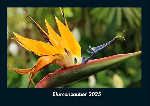 Blumenzauber 2025 Fotokalender DIN A4: Monatskalender mit Bild-Motiven aus Fauna und Flora, Natur, Blumen und Pflanzen Blumenzauber 2025 Fotokalender DIN A4: Monatskalender mit Bild-Motiven aus Fauna und Flora, Natur, Blumen und Pflanzen