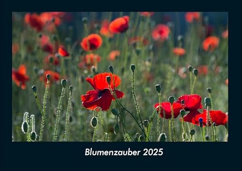 Blumenzauber 2025 Fotokalender DIN A4: Monatskalender mit Bild-Motiven aus Fauna und Flora, Natur, Blumen und Pflanzen Blumenzauber 2025 Fotokalender DIN A4: Monatskalender mit Bild-Motiven aus Fauna und Flora, Natur, Blumen und Pflanzen