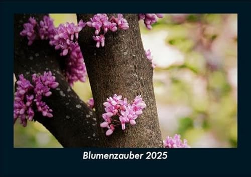Blumenzauber 2025 Fotokalender DIN A5: Monatskalender mit Bild-Motiven aus Fauna und Flora, Natur, Blumen und Pflanzen Blumenzauber 2025 Fotokalender DIN A5: Monatskalender mit Bild-Motiven aus Fauna und Flora, Natur, Blumen und Pflanzen