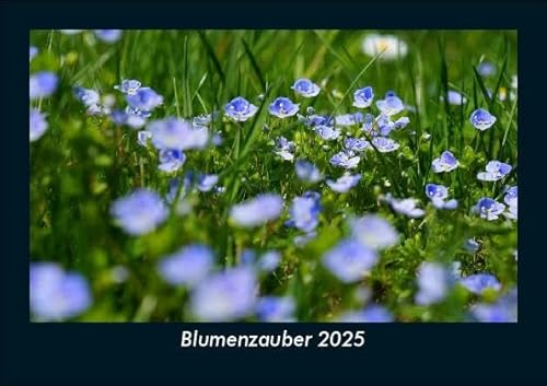 Blumenzauber 2025 Fotokalender DIN A5: Monatskalender mit Bild-Motiven aus Fauna und Flora, Natur, Blumen und Pflanzen Blumenzauber 2025 Fotokalender DIN A5: Monatskalender mit Bild-Motiven aus Fauna und Flora, Natur, Blumen und Pflanzen