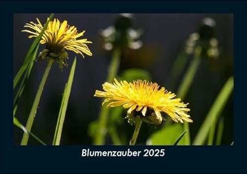 Blumenzauber 2025 Fotokalender DIN A5: Monatskalender mit Bild-Motiven aus Fauna und Flora, Natur, Blumen und Pflanzen Blumenzauber 2025 Fotokalender DIN A5: Monatskalender mit Bild-Motiven aus Fauna und Flora, Natur, Blumen und Pflanzen