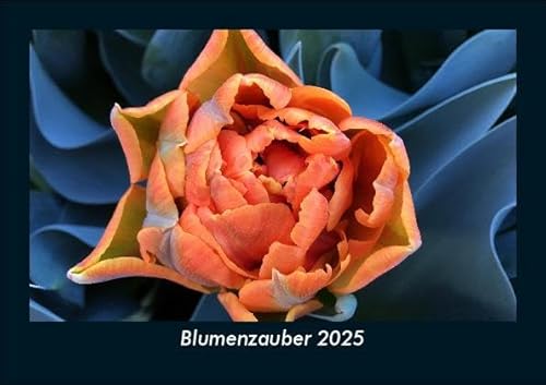 Blumenzauber 2025 Fotokalender DIN A5: Monatskalender mit Bild-Motiven aus Fauna und Flora, Natur, Blumen und Pflanzen Blumenzauber 2025 Fotokalender DIN A5: Monatskalender mit Bild-Motiven aus Fauna und Flora, Natur, Blumen und Pflanzen