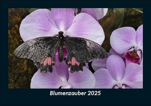Blumenzauber 2025 Fotokalender DIN A5: Monatskalender mit Bild-Motiven aus Fauna und Flora, Natur, Blumen und Pflanzen Blumenzauber 2025 Fotokalender DIN A5: Monatskalender mit Bild-Motiven aus Fauna und Flora, Natur, Blumen und Pflanzen