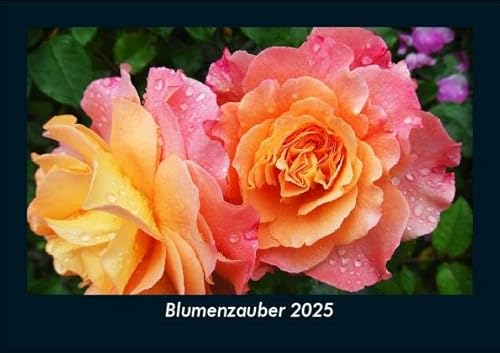 Blumenzauber 2025 Fotokalender DIN A5: Monatskalender mit Bild-Motiven aus Fauna und Flora, Natur, Blumen und Pflanzen Blumenzauber 2025 Fotokalender DIN A5: Monatskalender mit Bild-Motiven aus Fauna und Flora, Natur, Blumen und Pflanzen