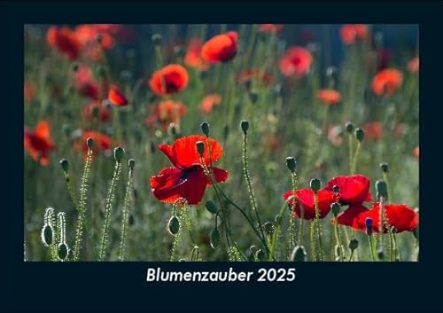 Blumenzauber 2025 Fotokalender DIN A5: Monatskalender mit Bild-Motiven aus Fauna und Flora, Natur, Blumen und Pflanzen Blumenzauber 2025 Fotokalender DIN A5: Monatskalender mit Bild-Motiven aus Fauna und Flora, Natur, Blumen und Pflanzen