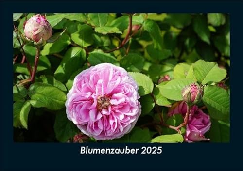 Blumenzauber 2025 Fotokalender DIN A5: Monatskalender mit Bild-Motiven aus Fauna und Flora, Natur, Blumen und Pflanzen Blumenzauber 2025 Fotokalender DIN A5: Monatskalender mit Bild-Motiven aus Fauna und Flora, Natur, Blumen und Pflanzen