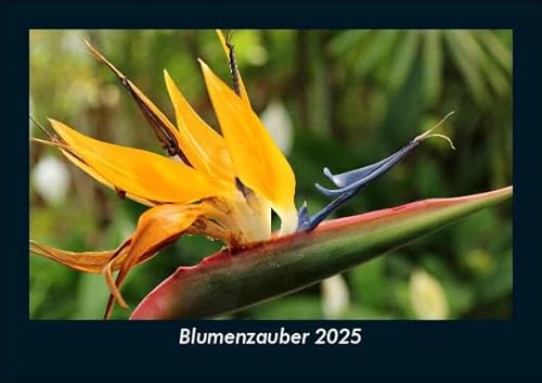 Blumenzauber 2025 Fotokalender DIN A5: Monatskalender mit Bild-Motiven aus Fauna und Flora, Natur, Blumen und Pflanzen Blumenzauber 2025 Fotokalender DIN A5: Monatskalender mit Bild-Motiven aus Fauna und Flora, Natur, Blumen und Pflanzen