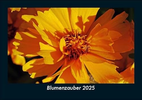 Blumenzauber 2025 Fotokalender DIN A5: Monatskalender mit Bild-Motiven aus Fauna und Flora, Natur, Blumen und Pflanzen Blumenzauber 2025 Fotokalender DIN A5: Monatskalender mit Bild-Motiven aus Fauna und Flora, Natur, Blumen und Pflanzen