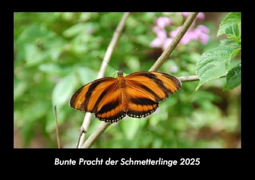Bunte Pracht der Schmetterlinge 2025 Fotokalender DIN A3: Monatskalender mit Bild-Motiven von Haustieren, Bauernhof, wilden Tieren und Raubtieren Bunte Pracht der Schmetterlinge 2025 Fotokalender DIN A3: Monatskalender mit Bild-Motiven von Haustieren, Bauernhof, wilden Tieren und Raubtieren