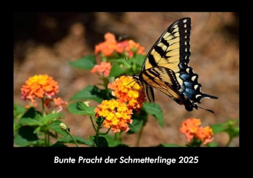 Bunte Pracht der Schmetterlinge 2025 Fotokalender DIN A3: Monatskalender mit Bild-Motiven von Haustieren, Bauernhof, wilden Tieren und Raubtieren Bunte Pracht der Schmetterlinge 2025 Fotokalender DIN A3: Monatskalender mit Bild-Motiven von Haustieren, Bauernhof, wilden Tieren und Raubtieren