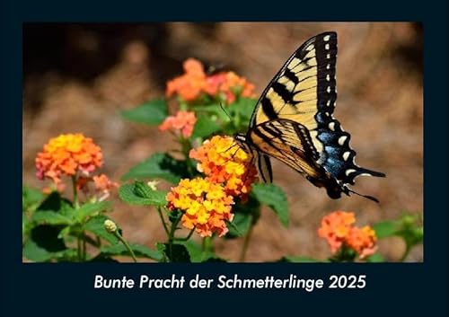 Bunte Pracht der Schmetterlinge 2025 Fotokalender DIN A4: Monatskalender mit Bild-Motiven von Haustieren, Bauernhof, wilden Tieren und Raubtieren Bunte Pracht der Schmetterlinge 2025 Fotokalender DIN A4: Monatskalender mit Bild-Motiven von Haustieren, Bauernhof, wilden Tieren und Raubtieren