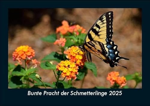 Bunte Pracht der Schmetterlinge 2025 Fotokalender DIN A5: Monatskalender mit Bild-Motiven von Haustieren, Bauernhof, wilden Tieren und Raubtieren Bunte Pracht der Schmetterlinge 2025 Fotokalender DIN A5: Monatskalender mit Bild-Motiven von Haustieren, Bauernhof, wilden Tieren und Raubtieren