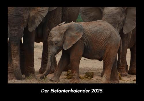 Der Elefantenkalender 2025 Fotokalender DIN A3: Monatskalender mit Bild-Motiven von Haustieren, Bauernhof, wilden Tieren und Raubtieren Der Elefantenkalender 2025 Fotokalender DIN A3: Monatskalender mit Bild-Motiven von Haustieren, Bauernhof, wilden Tieren und Raubtieren