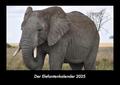Der Elefantenkalender 2025 Fotokalender DIN A3: Monatskalender mit Bild-Motiven von Haustieren, Bauernhof, wilden Tieren und Raubtieren Der Elefantenkalender 2025 Fotokalender DIN A3: Monatskalender mit Bild-Motiven von Haustieren, Bauernhof, wilden Tieren und Raubtieren