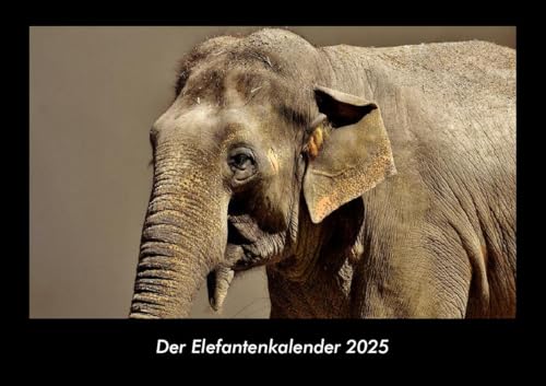 Der Elefantenkalender 2025 Fotokalender DIN A3: Monatskalender mit Bild-Motiven von Haustieren, Bauernhof, wilden Tieren und Raubtieren Der Elefantenkalender 2025 Fotokalender DIN A3: Monatskalender mit Bild-Motiven von Haustieren, Bauernhof, wilden Tieren und Raubtieren