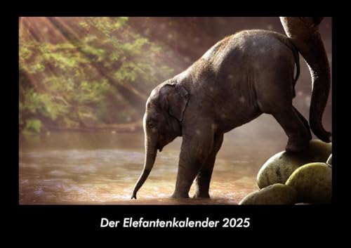 Der Elefantenkalender 2025 Fotokalender DIN A3: Monatskalender mit Bild-Motiven von Haustieren, Bauernhof, wilden Tieren und Raubtieren Der Elefantenkalender 2025 Fotokalender DIN A3: Monatskalender mit Bild-Motiven von Haustieren, Bauernhof, wilden Tieren und Raubtieren