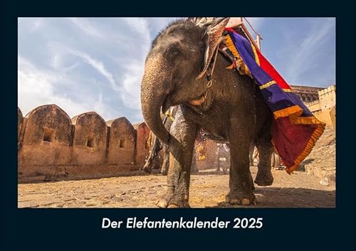Der Elefantenkalender 2025 Fotokalender DIN A4: Monatskalender mit Bild-Motiven von Haustieren, Bauernhof, wilden Tieren und Raubtieren Der Elefantenkalender 2025 Fotokalender DIN A4: Monatskalender mit Bild-Motiven von Haustieren, Bauernhof, wilden Tieren und Raubtieren