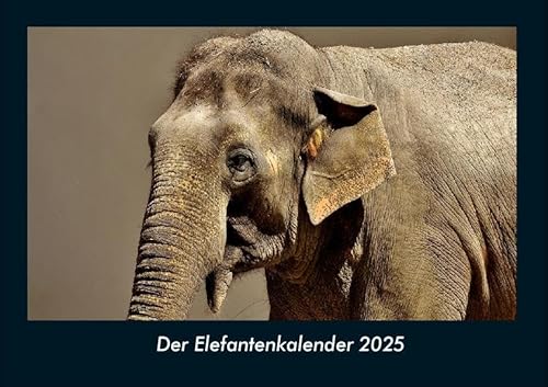 Der Elefantenkalender 2025 Fotokalender DIN A4: Monatskalender mit Bild-Motiven von Haustieren, Bauernhof, wilden Tieren und Raubtieren Der Elefantenkalender 2025 Fotokalender DIN A4: Monatskalender mit Bild-Motiven von Haustieren, Bauernhof, wilden Tieren und Raubtieren