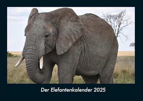 Der Elefantenkalender 2025 Fotokalender DIN A4: Monatskalender mit Bild-Motiven von Haustieren, Bauernhof, wilden Tieren und Raubtieren Der Elefantenkalender 2025 Fotokalender DIN A4: Monatskalender mit Bild-Motiven von Haustieren, Bauernhof, wilden Tieren und Raubtieren