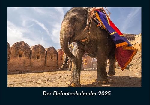 Der Elefantenkalender 2025 Fotokalender DIN A4: Monatskalender mit Bild-Motiven von Haustieren, Bauernhof, wilden Tieren und Raubtieren Der Elefantenkalender 2025 Fotokalender DIN A4: Monatskalender mit Bild-Motiven von Haustieren, Bauernhof, wilden Tieren und Raubtieren