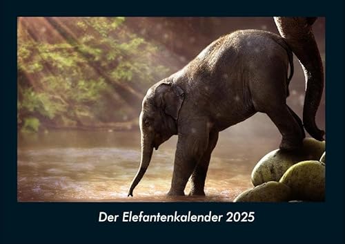 Der Elefantenkalender 2025 Fotokalender DIN A4: Monatskalender mit Bild-Motiven von Haustieren, Bauernhof, wilden Tieren und Raubtieren Der Elefantenkalender 2025 Fotokalender DIN A4: Monatskalender mit Bild-Motiven von Haustieren, Bauernhof, wilden Tieren und Raubtieren