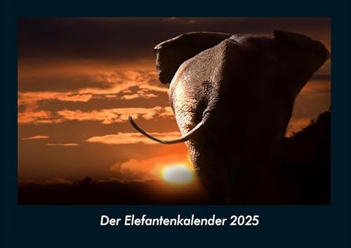 Der Elefantenkalender 2025 Fotokalender DIN A4: Monatskalender mit Bild-Motiven von Haustieren, Bauernhof, wilden Tieren und Raubtieren Der Elefantenkalender 2025 Fotokalender DIN A4: Monatskalender mit Bild-Motiven von Haustieren, Bauernhof, wilden Tieren und Raubtieren