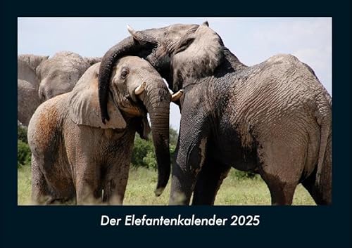 Der Elefantenkalender 2025 Fotokalender DIN A4: Monatskalender mit Bild-Motiven von Haustieren, Bauernhof, wilden Tieren und Raubtieren Der Elefantenkalender 2025 Fotokalender DIN A4: Monatskalender mit Bild-Motiven von Haustieren, Bauernhof, wilden Tieren und Raubtieren