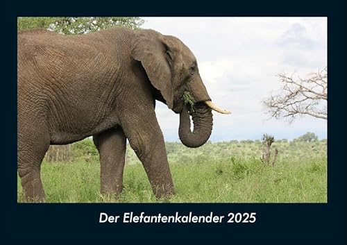 Der Elefantenkalender 2025 Fotokalender DIN A4: Monatskalender mit Bild-Motiven von Haustieren, Bauernhof, wilden Tieren und Raubtieren Der Elefantenkalender 2025 Fotokalender DIN A4: Monatskalender mit Bild-Motiven von Haustieren, Bauernhof, wilden Tieren und Raubtieren