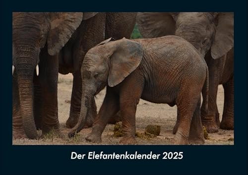 Der Elefantenkalender 2025 Fotokalender DIN A4: Monatskalender mit Bild-Motiven von Haustieren, Bauernhof, wilden Tieren und Raubtieren Der Elefantenkalender 2025 Fotokalender DIN A4: Monatskalender mit Bild-Motiven von Haustieren, Bauernhof, wilden Tieren und Raubtieren