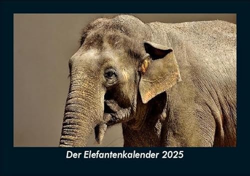 Der Elefantenkalender 2025 Fotokalender DIN A5: Monatskalender mit Bild-Motiven von Haustieren, Bauernhof, wilden Tieren und Raubtieren Der Elefantenkalender 2025 Fotokalender DIN A5: Monatskalender mit Bild-Motiven von Haustieren, Bauernhof, wilden Tieren und Raubtieren