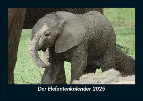 Der Elefantenkalender 2025 Fotokalender DIN A5: Monatskalender mit Bild-Motiven von Haustieren, Bauernhof, wilden Tieren und Raubtieren Der Elefantenkalender 2025 Fotokalender DIN A5: Monatskalender mit Bild-Motiven von Haustieren, Bauernhof, wilden Tieren und Raubtieren