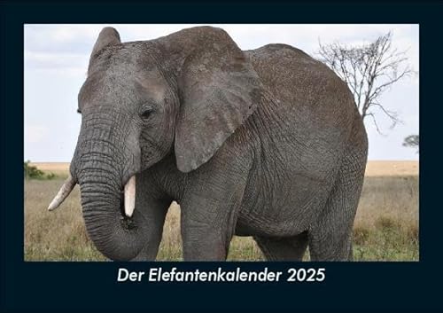 Der Elefantenkalender 2025 Fotokalender DIN A5: Monatskalender mit Bild-Motiven von Haustieren, Bauernhof, wilden Tieren und Raubtieren Der Elefantenkalender 2025 Fotokalender DIN A5: Monatskalender mit Bild-Motiven von Haustieren, Bauernhof, wilden Tieren und Raubtieren