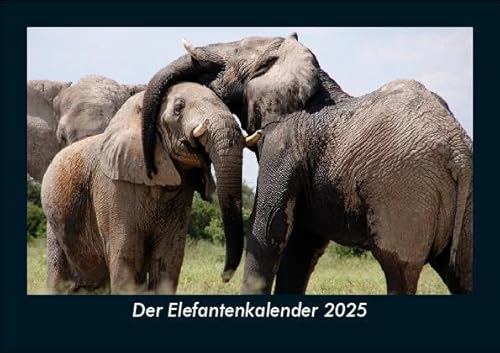 Der Elefantenkalender 2025 Fotokalender DIN A5: Monatskalender mit Bild-Motiven von Haustieren, Bauernhof, wilden Tieren und Raubtieren Der Elefantenkalender 2025 Fotokalender DIN A5: Monatskalender mit Bild-Motiven von Haustieren, Bauernhof, wilden Tieren und Raubtieren