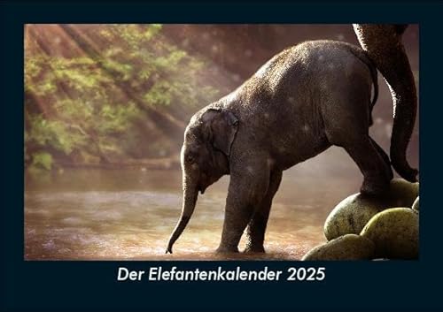 Der Elefantenkalender 2025 Fotokalender DIN A5: Monatskalender mit Bild-Motiven von Haustieren, Bauernhof, wilden Tieren und Raubtieren Der Elefantenkalender 2025 Fotokalender DIN A5: Monatskalender mit Bild-Motiven von Haustieren, Bauernhof, wilden Tieren und Raubtieren