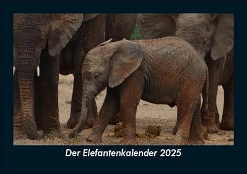 Der Elefantenkalender 2025 Fotokalender DIN A5: Monatskalender mit Bild-Motiven von Haustieren, Bauernhof, wilden Tieren und Raubtieren Der Elefantenkalender 2025 Fotokalender DIN A5: Monatskalender mit Bild-Motiven von Haustieren, Bauernhof, wilden Tieren und Raubtieren