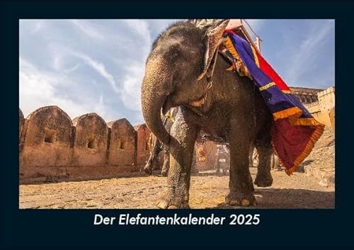 Der Elefantenkalender 2025 Fotokalender DIN A5: Monatskalender mit Bild-Motiven von Haustieren, Bauernhof, wilden Tieren und Raubtieren Der Elefantenkalender 2025 Fotokalender DIN A5: Monatskalender mit Bild-Motiven von Haustieren, Bauernhof, wilden Tieren und Raubtieren