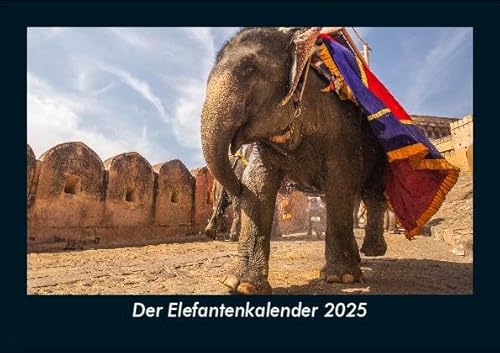 Der Elefantenkalender 2025 Fotokalender DIN A5: Monatskalender mit Bild-Motiven von Haustieren, Bauernhof, wilden Tieren und Raubtieren Der Elefantenkalender 2025 Fotokalender DIN A5: Monatskalender mit Bild-Motiven von Haustieren, Bauernhof, wilden Tieren und Raubtieren