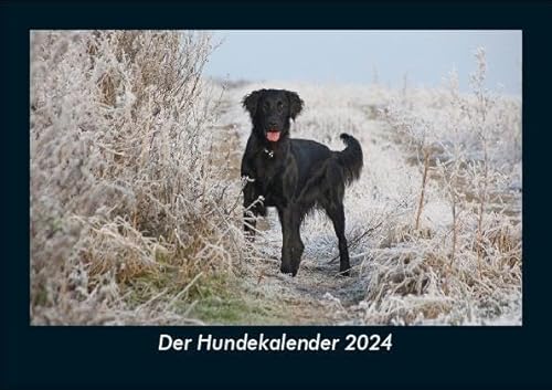 Der Hundekalender 2024 Fotokalender DIN A5: Monatskalender mit Bild-Motiven von Haustieren, Bauernhof, wilden Tieren und Raubtieren Der Hundekalender 2024 Fotokalender DIN A5: Monatskalender mit Bild-Motiven von Haustieren, Bauernhof, wilden Tieren und Raubtieren