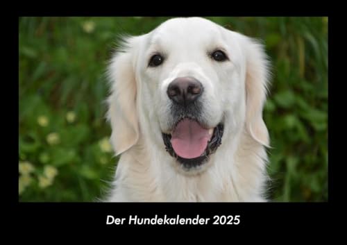 Der Hundekalender 2025 Fotokalender DIN A3: Monatskalender mit Bild-Motiven von Haustieren, Bauernhof, wilden Tieren und Raubtieren Der Hundekalender 2025 Fotokalender DIN A3: Monatskalender mit Bild-Motiven von Haustieren, Bauernhof, wilden Tieren und Raubtieren