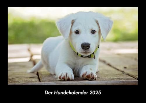 Der Hundekalender 2025 Fotokalender DIN A3: Monatskalender mit Bild-Motiven von Haustieren, Bauernhof, wilden Tieren und Raubtieren Der Hundekalender 2025 Fotokalender DIN A3: Monatskalender mit Bild-Motiven von Haustieren, Bauernhof, wilden Tieren und Raubtieren