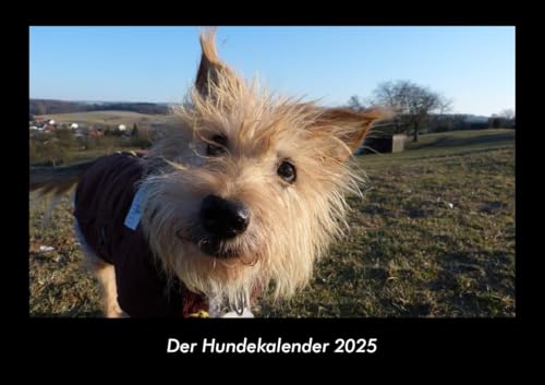 Der Hundekalender 2025 Fotokalender DIN A3: Monatskalender mit Bild-Motiven von Haustieren, Bauernhof, wilden Tieren und Raubtieren Der Hundekalender 2025 Fotokalender DIN A3: Monatskalender mit Bild-Motiven von Haustieren, Bauernhof, wilden Tieren und Raubtieren