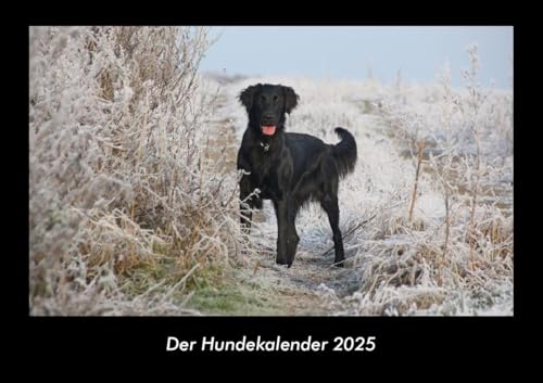 Der Hundekalender 2025 Fotokalender DIN A3: Monatskalender mit Bild-Motiven von Haustieren, Bauernhof, wilden Tieren und Raubtieren Der Hundekalender 2025 Fotokalender DIN A3: Monatskalender mit Bild-Motiven von Haustieren, Bauernhof, wilden Tieren und Raubtieren