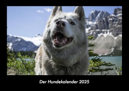 Der Hundekalender 2025 Fotokalender DIN A3: Monatskalender mit Bild-Motiven von Haustieren, Bauernhof, wilden Tieren und Raubtieren Der Hundekalender 2025 Fotokalender DIN A3: Monatskalender mit Bild-Motiven von Haustieren, Bauernhof, wilden Tieren und Raubtieren