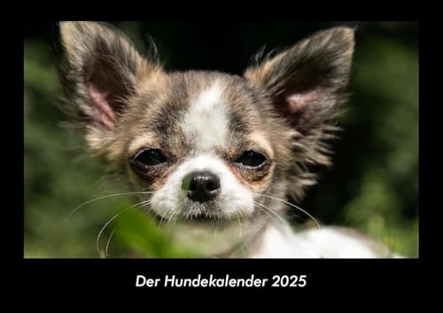 Der Hundekalender 2025 Fotokalender DIN A3: Monatskalender mit Bild-Motiven von Haustieren, Bauernhof, wilden Tieren und Raubtieren Der Hundekalender 2025 Fotokalender DIN A3: Monatskalender mit Bild-Motiven von Haustieren, Bauernhof, wilden Tieren und Raubtieren