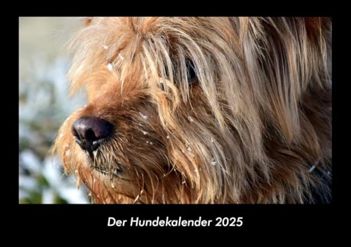 Der Hundekalender 2025 Fotokalender DIN A3: Monatskalender mit Bild-Motiven von Haustieren, Bauernhof, wilden Tieren und Raubtieren Der Hundekalender 2025 Fotokalender DIN A3: Monatskalender mit Bild-Motiven von Haustieren, Bauernhof, wilden Tieren und Raubtieren