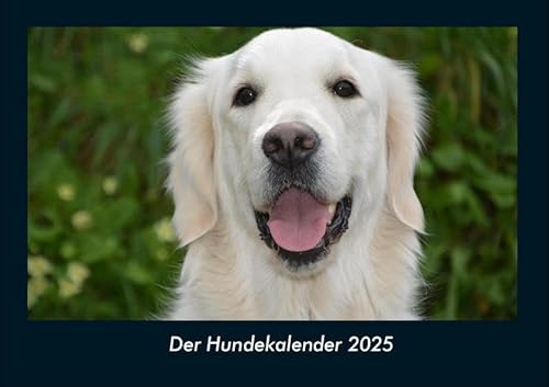 Der Hundekalender 2025 Fotokalender DIN A4: Monatskalender mit Bild-Motiven von Haustieren, Bauernhof, wilden Tieren und Raubtieren Der Hundekalender 2025 Fotokalender DIN A4: Monatskalender mit Bild-Motiven von Haustieren, Bauernhof, wilden Tieren und Raubtieren