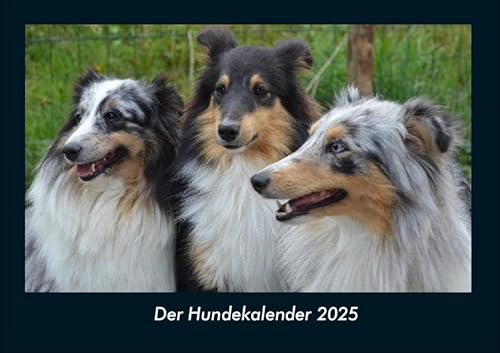 Der Hundekalender 2025 Fotokalender DIN A4: Monatskalender mit Bild-Motiven von Haustieren, Bauernhof, wilden Tieren und Raubtieren Der Hundekalender 2025 Fotokalender DIN A4: Monatskalender mit Bild-Motiven von Haustieren, Bauernhof, wilden Tieren und Raubtieren