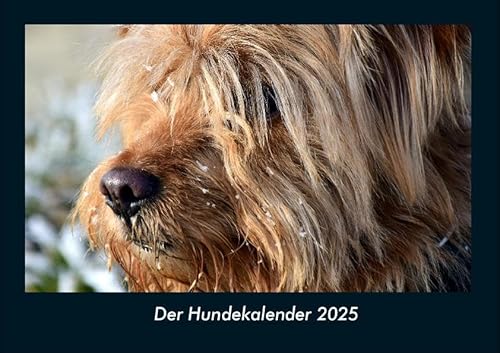 Der Hundekalender 2025 Fotokalender DIN A4: Monatskalender mit Bild-Motiven von Haustieren, Bauernhof, wilden Tieren und Raubtieren Der Hundekalender 2025 Fotokalender DIN A4: Monatskalender mit Bild-Motiven von Haustieren, Bauernhof, wilden Tieren und Raubtieren
