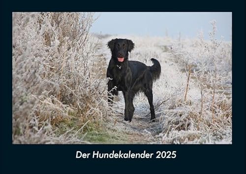 Der Hundekalender 2025 Fotokalender DIN A4: Monatskalender mit Bild-Motiven von Haustieren, Bauernhof, wilden Tieren und Raubtieren Der Hundekalender 2025 Fotokalender DIN A4: Monatskalender mit Bild-Motiven von Haustieren, Bauernhof, wilden Tieren und Raubtieren